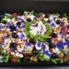 Lapu salāti ar Burratu un Srtacciatella sieru (1 kg)